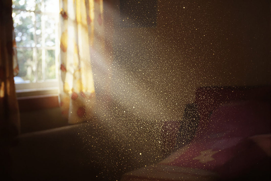 How Air Filters Improve Indoor Air Quality